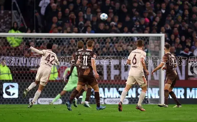 欧陆娱乐app下载安装百度翻译App林江山足球运动员照片大全，精美图片一网打尽