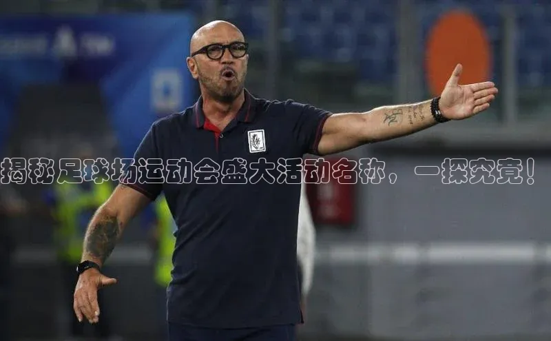 欧陆娱乐怎么注册账号普信公司揭秘足球场运动会盛大活动名称，一探究竟！