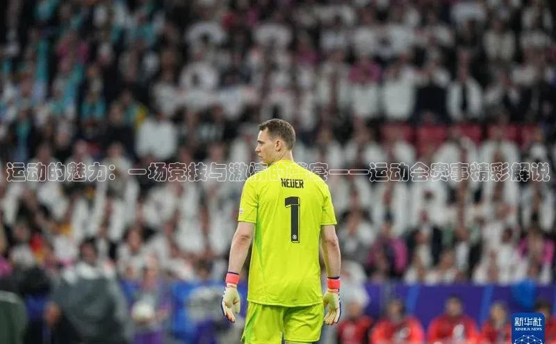 欧陆平台注册开户百度学术运动的魅力：一场竞技与激情的盛宴——运动会赛事精彩解说