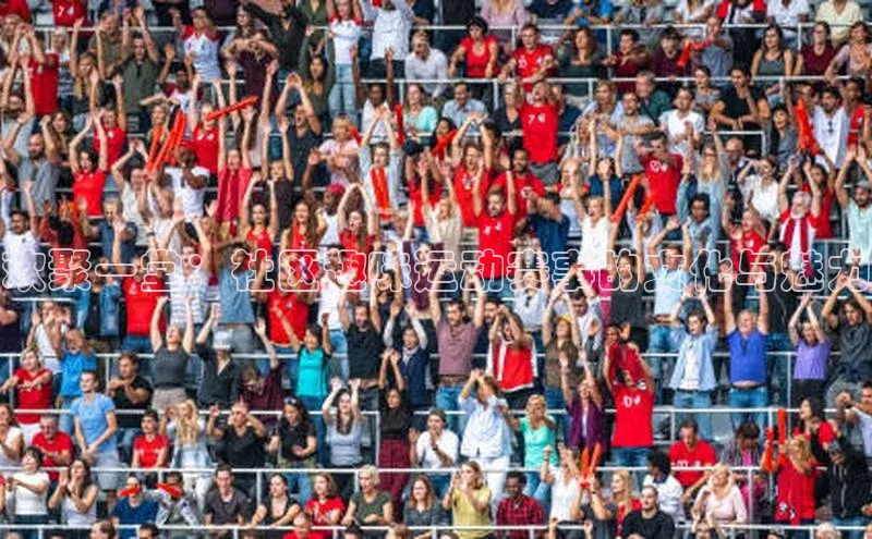 欢聚一堂：社区趣味运动赛事的文化与魅力