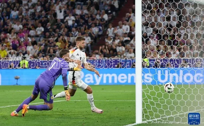 衢州市运动会：展现活力与友谊的舞台