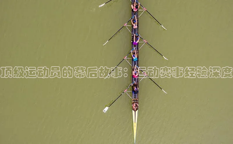 顶级运动员的幕后故事：运动赛事经验深度