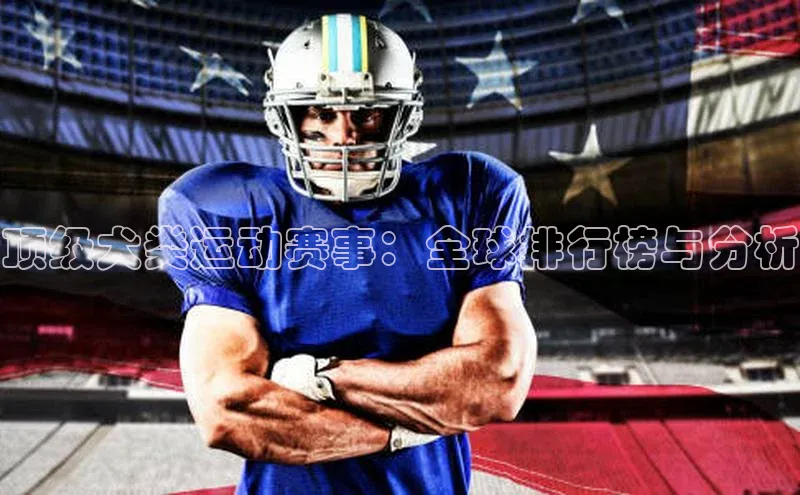 顶级犬类运动赛事：全球排行榜与分析