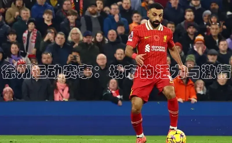 徐州运动赛事：城市的活力与激情