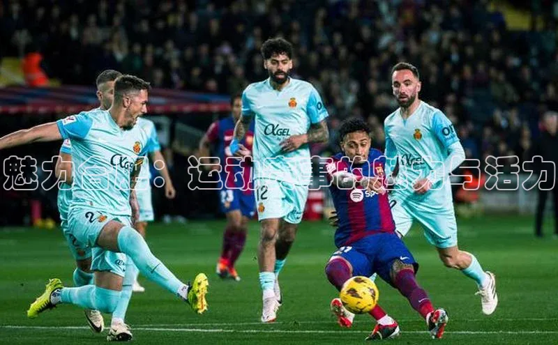 魅力合肥：运动赛事的魅力与活力