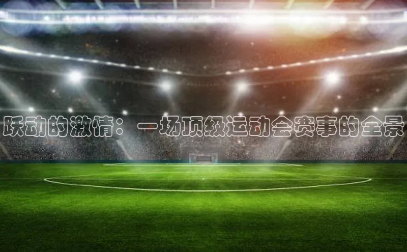 跃动的激情：一场顶级运动会赛事的全景