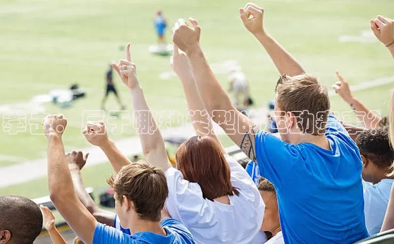 拳击：属于哪种类型的运动赛事？