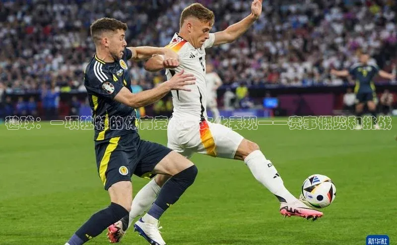 毽球：一项独特的体育竞技与文化表现——赛事概览和挑战