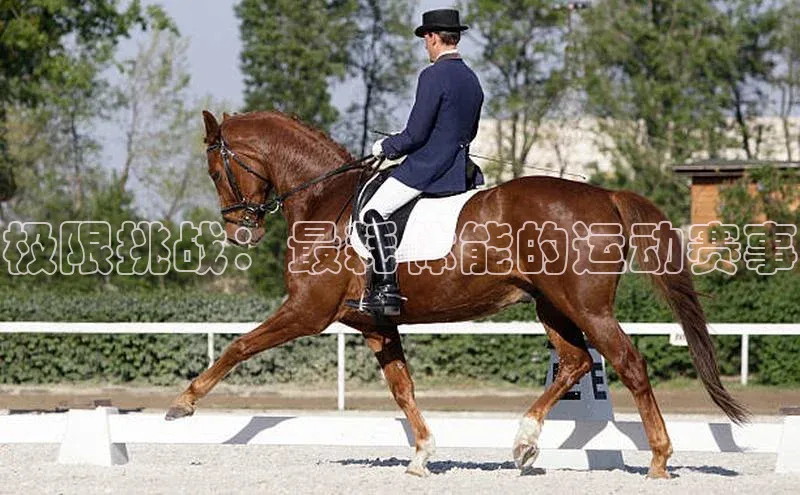 极限挑战：最耗体能的运动赛事