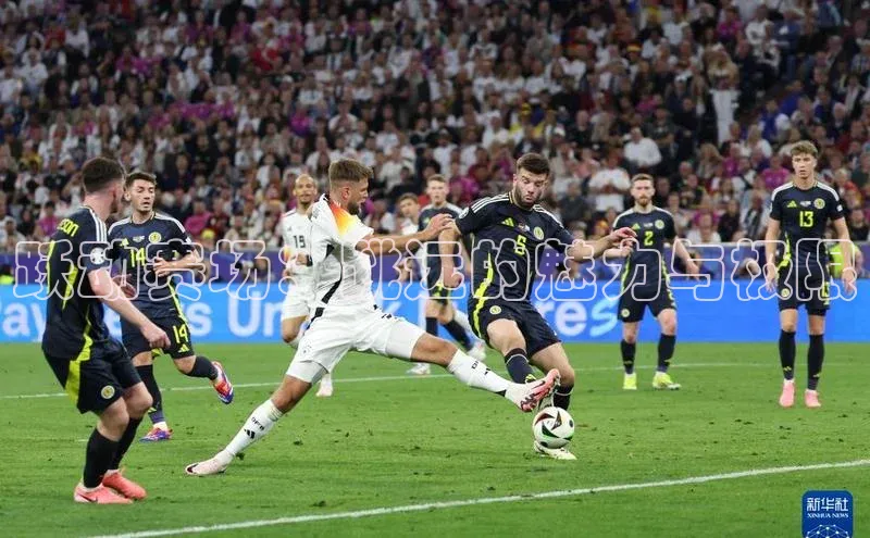 跃动赛场：跳远的魅力与极限