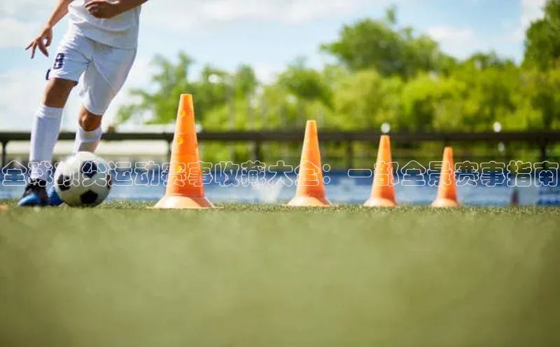 全球顶尖运动赛事收藏大全：一部全景赛事指南