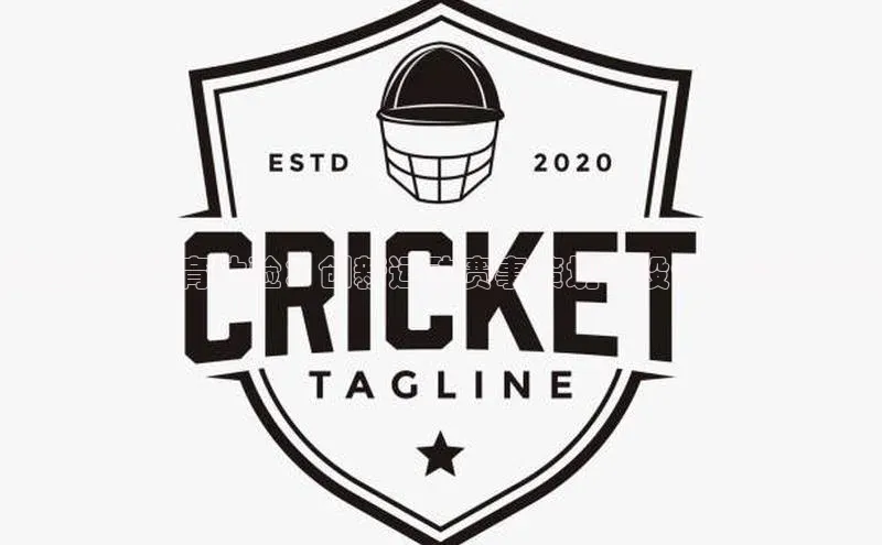 打造未来体育体验：创新运动赛事策划书设计与实施策略