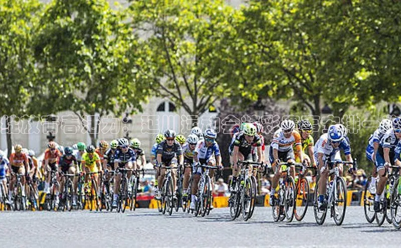 绽放青春活力：延川运动会精彩赛事安排一览