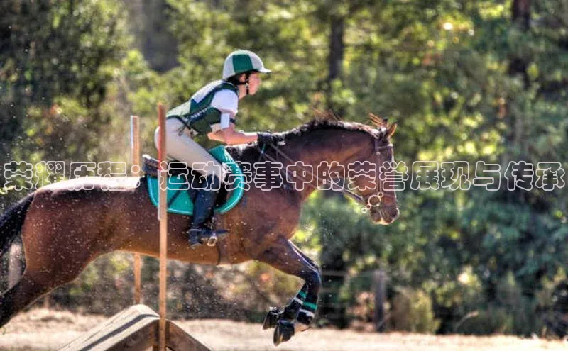 荣耀历程：运动赛事中的荣誉展现与传承