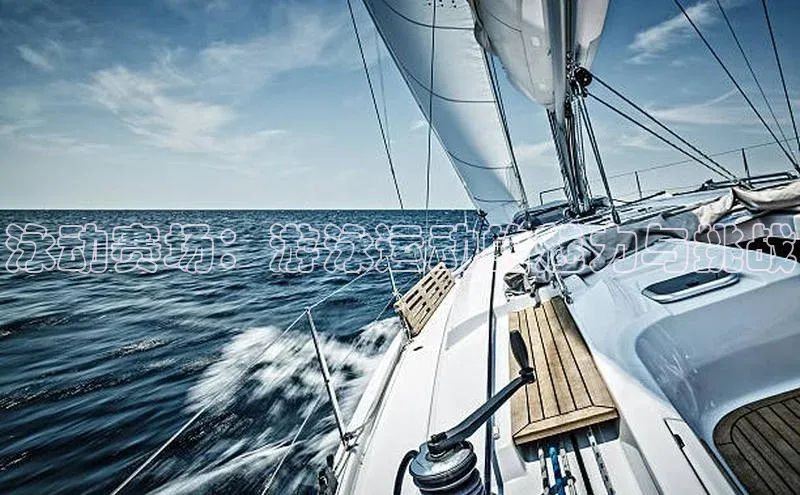 泳动赛场：游泳运动的魅力与挑战