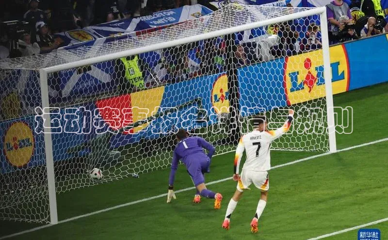 运动赛事报名详情与规则