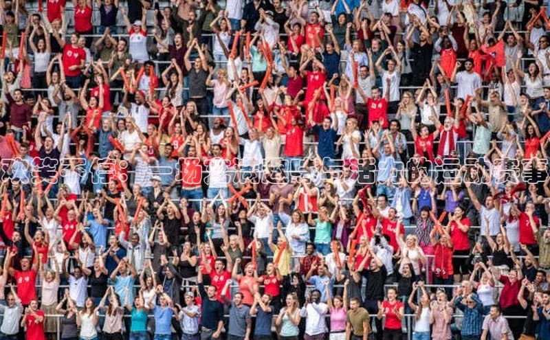 欧陆娱乐平台登录app