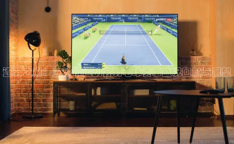 逐羽之巅：三沙市运动会羽毛球赛事盛况回顾与展望