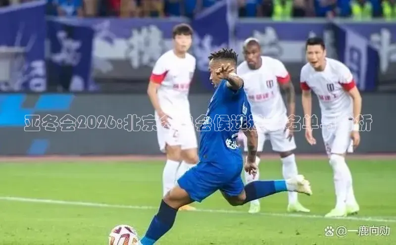亚冬会2026:北京冬奥会候选选手名单与分析